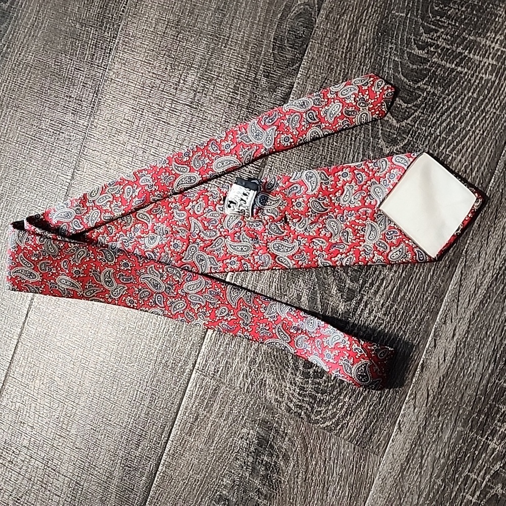 🎉 Paco Rabanne Slender Paisley Necktie 🎉 - Picture 2 of 4